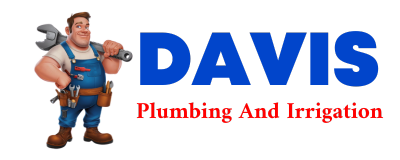 Trusted plumber in EIGHTY EIGHT